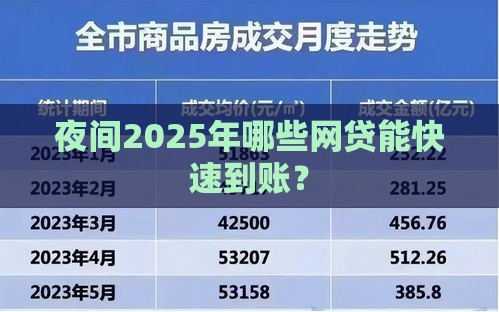 夜间2025年哪些网贷能快速到账？