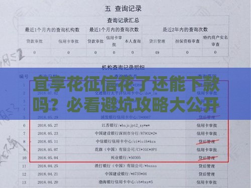 宜享花征信花了还能下款吗？必看避坑攻略大公开！