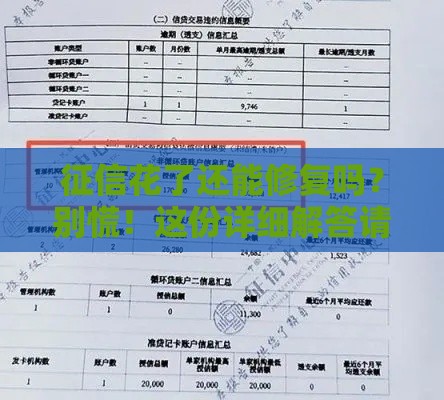 征信花了还能修复吗？别慌！这份详细解答请收好