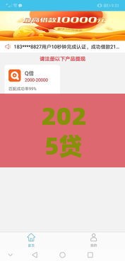 2025贷款必看：最新放水口子深度解析攻略