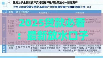 2025贷款必看：最新放水口子深度解析攻略