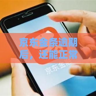 京东金条逾期后，还能正常使用京东购物吗？