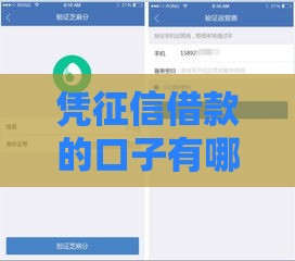 凭征信借款的口子有哪些？这5个平台快速下款，新手必看攻略！
