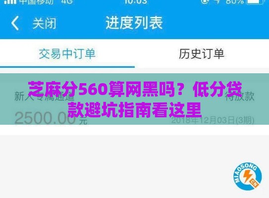 芝麻分560算网黑吗？低分贷款避坑指南看这里
