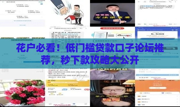 花户必看！低门槛贷款口子论坛推荐，秒下款攻略大公开