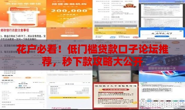 花户必看！低门槛贷款口子论坛推荐，秒下款攻略大公开