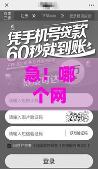 急！哪个网贷好批不看征信？这3个渠道审核松、秒到账！