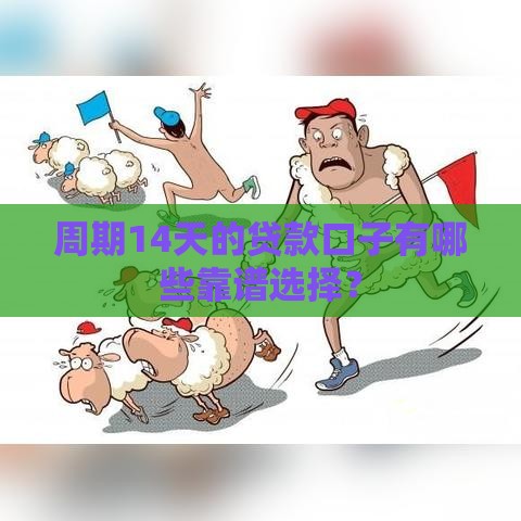 周期14天的贷款口子有哪些靠谱选择？