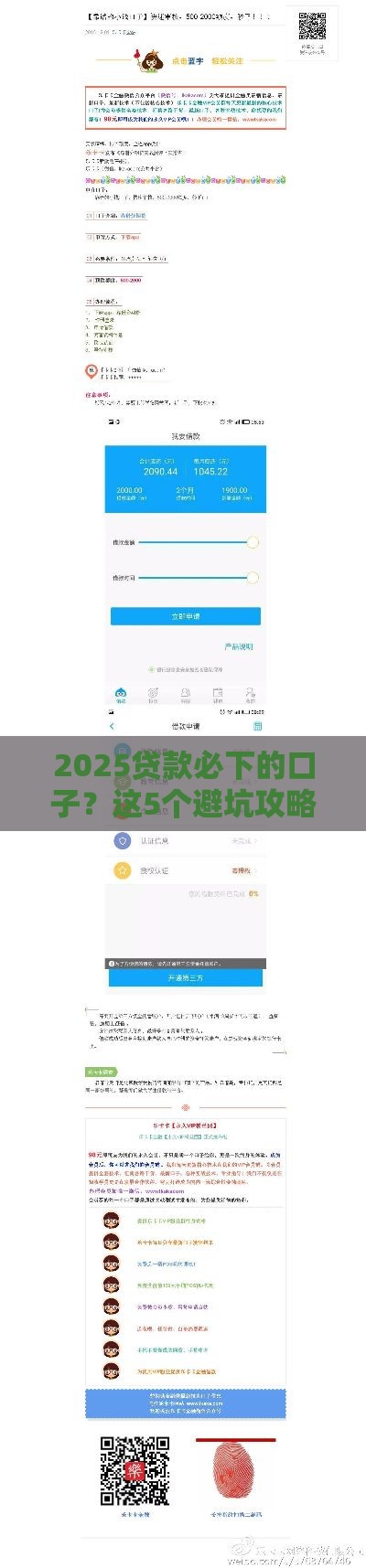 2025贷款必下的口子？这5个避坑攻略让你申请成功率翻倍