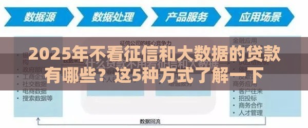 2025年不看征信和大数据的贷款有哪些？这5种方式了解一下