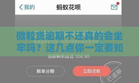 微粒贷逾期不还真的会坐牢吗？这几点你一定要知道！