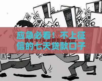 应急必看！不上征信的七天贷款口子，这几招帮你短期周转