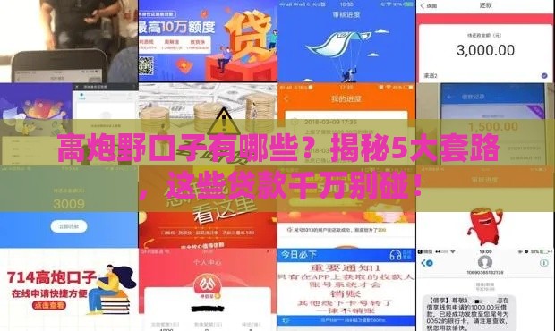高炮野口子有哪些？揭秘5大套路，这些贷款千万别碰！