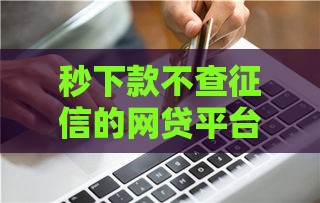 秒下款不查征信的网贷平台推荐，真实评测+避坑技巧