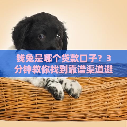 钱兔是哪个贷款口子？3分钟教你找到靠谱渠道避免被坑