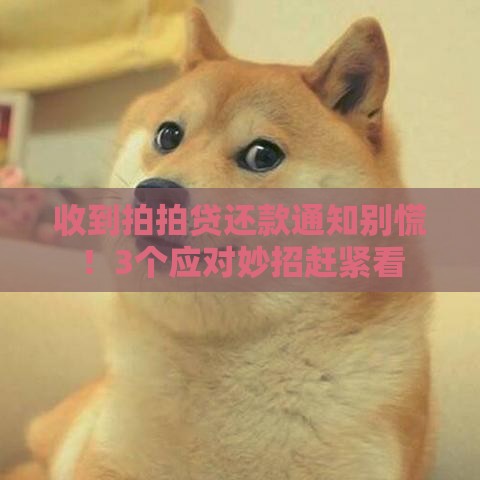 收到拍拍贷还款通知别慌！3个应对妙招赶紧看