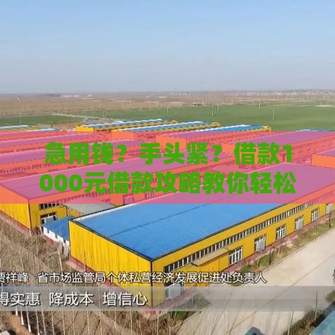 急用钱？手头紧？借款1000元借款攻略教你轻松周转！