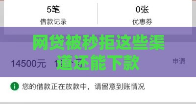 网贷被秒拒这些渠道还能下款