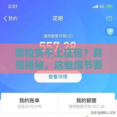 微粒贷不上征信？真相揭秘，这些细节要注意！