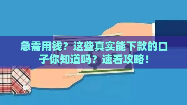急需用钱？这些真实能下款的口子你知道吗？速看攻略！
