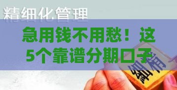 急用钱不用愁！这5个靠谱分期口子，解决你的资金难题