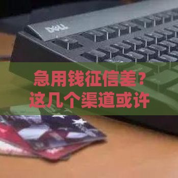 急用钱征信差？这几个渠道或许能帮到你！