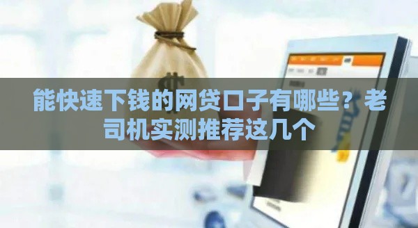 能快速下钱的网贷口子有哪些？老司机实测推荐这几个