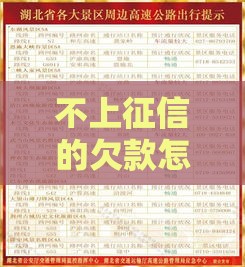 不上征信的欠款怎么还？避坑指南+应急方案必看