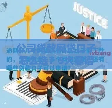 公司贷款网贷口子怎么选？5大靠谱渠道+避坑指南