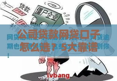 公司贷款网贷口子怎么选？5大靠谱渠道+避坑指南