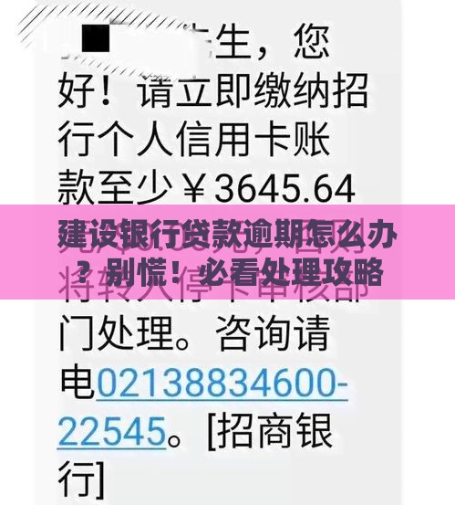 建设银行贷款逾期怎么办？别慌！必看处理攻略