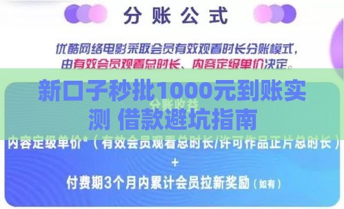 新口子秒批1000元到账实测 借款避坑指南
