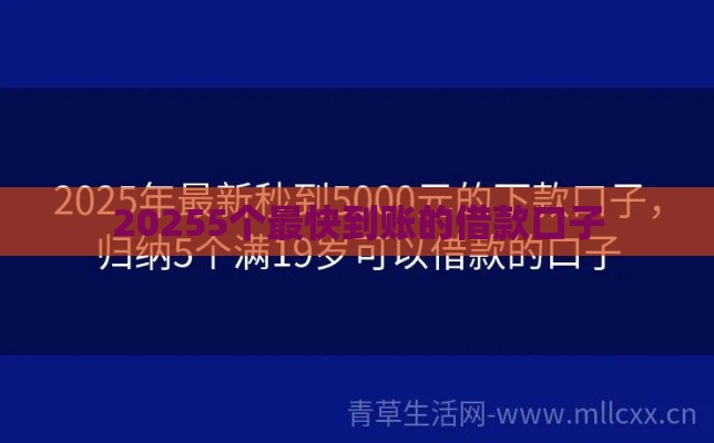 20255个最快到账的借款口子
