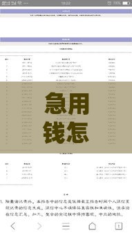 急用钱怎么办？小额借款1000元马上放款，不查征信也能快速到账！