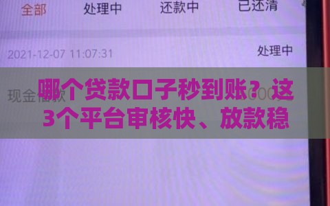 哪个贷款口子秒到账？这3个平台审核快、放款稳！