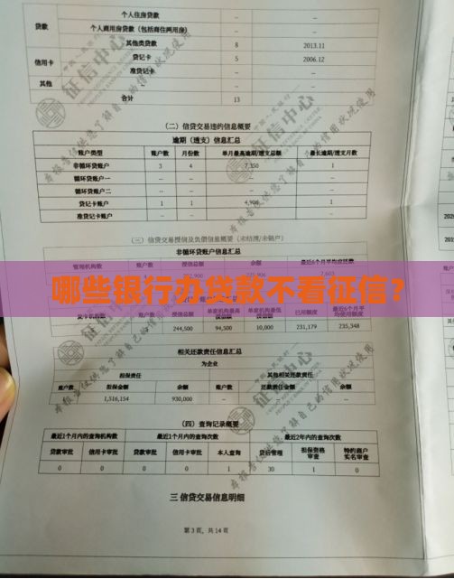 哪些银行办贷款不看征信？