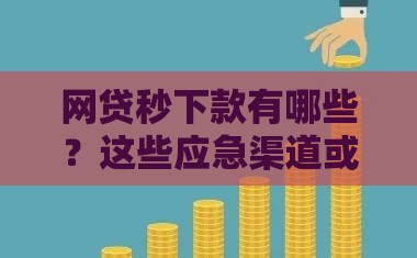 网贷秒下款有哪些？这些应急渠道或许能帮到你