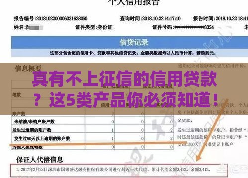 真有不上征信的信用贷款？这5类产品你必须知道！