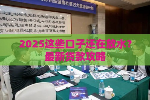 2025这些口子还在放水？最新贷款攻略
