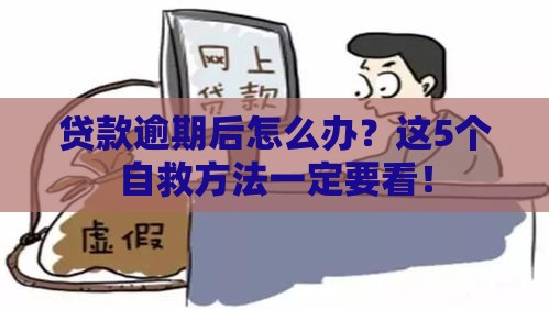 贷款逾期后怎么办？这5个自救方法一定要看！