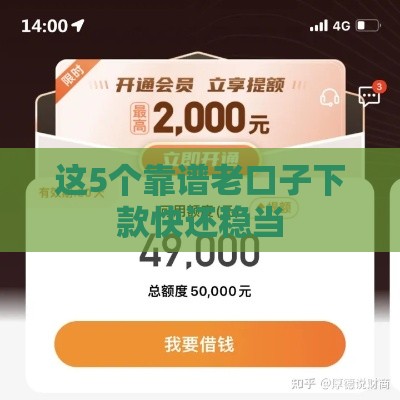 这5个靠谱老口子下款快还稳当