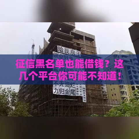 征信黑名单也能借钱？这几个平台你可能不知道！