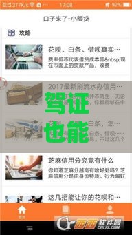 驾证也能贷款？这几种靠谱口子你知道吗