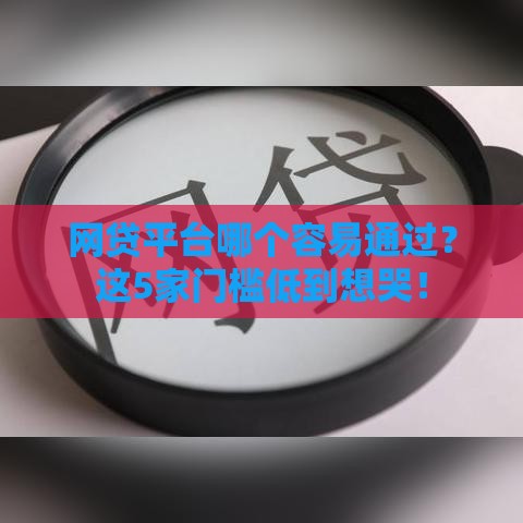 网贷平台哪个容易通过？这5家门槛低到想哭！