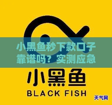 小黑鱼秒下款口子靠谱吗？实测应急借款技巧，避坑必看！
