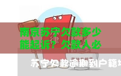 南京苏宁欠款多少能起诉？欠款人必看法律指南