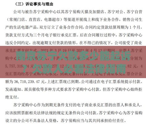 南京苏宁欠款多少能起诉？欠款人必看法律指南