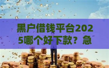 黑户借钱平台2025哪个好下款？急用钱必看实测推荐
