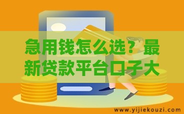 急用钱怎么选？最新贷款平台口子大全，快速到账必看攻略！