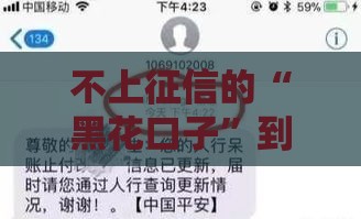 不上征信的“黑花口子”到底是啥？深度揭秘贷款陷阱